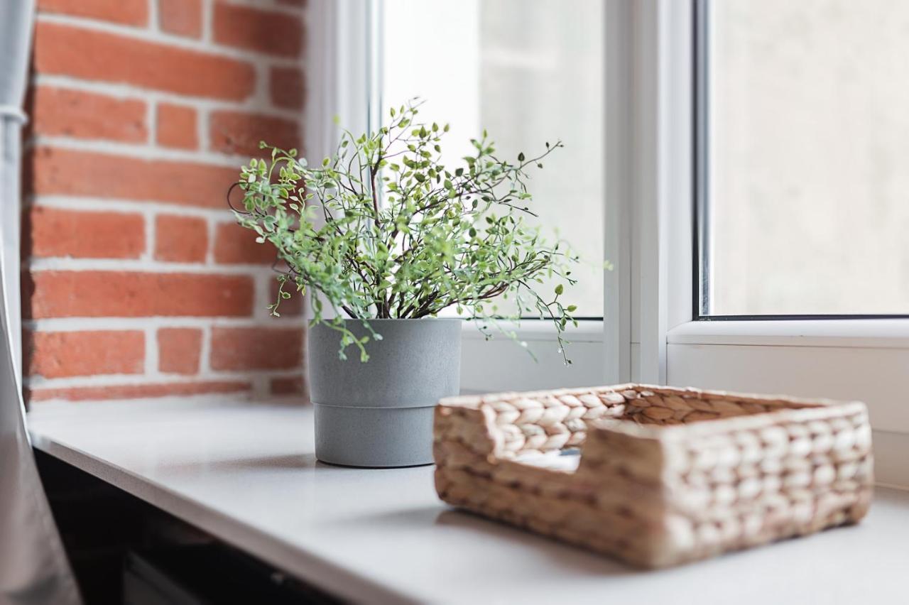 Right In The Heart Of Wroclaw Apartment Exterior photo